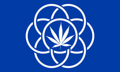 Legalización del cannabis en el resto del mundo