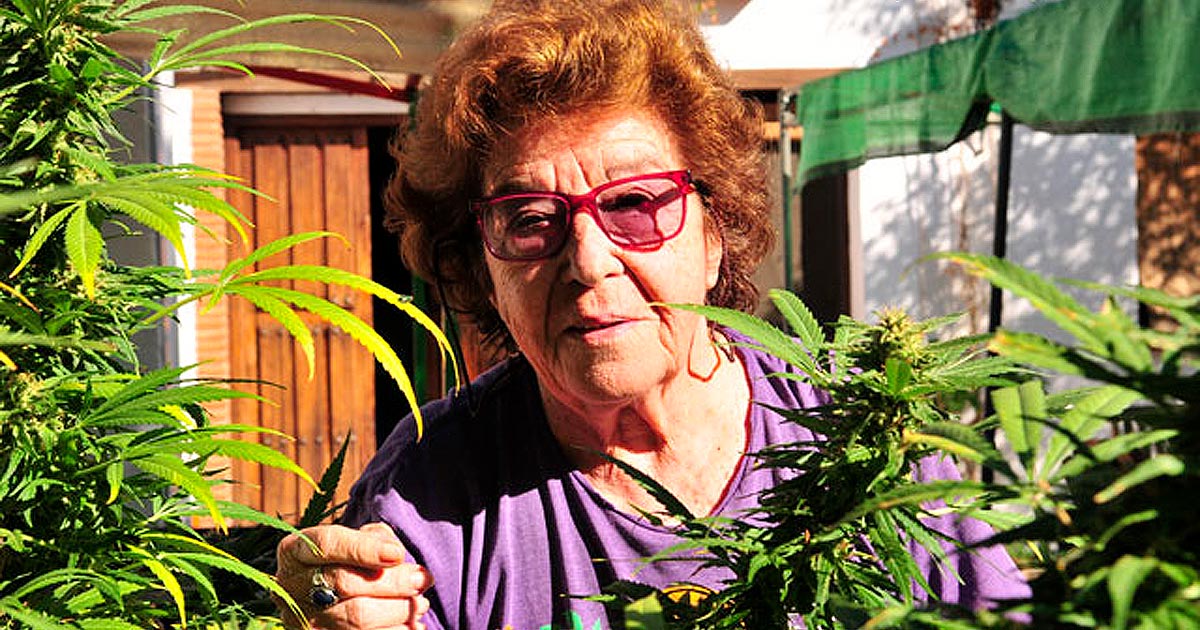 Abuela Marihuana