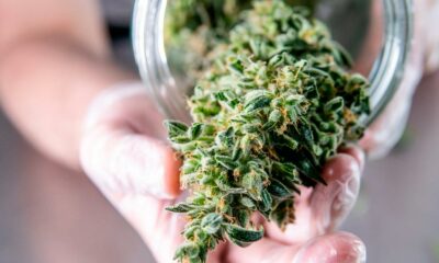El cannabis medicinal se venderá en Grecia en 2022