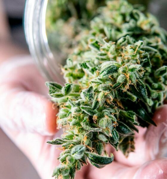 El cannabis medicinal se venderá en Grecia en 2022