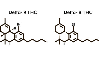El Delta-8-THC es ilegal en Francia