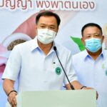 Aceite de cannabis gratuito en Tailandia
