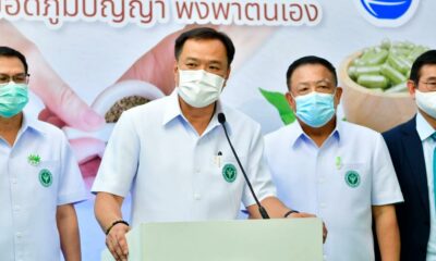 Aceite de cannabis gratuito en Tailandia