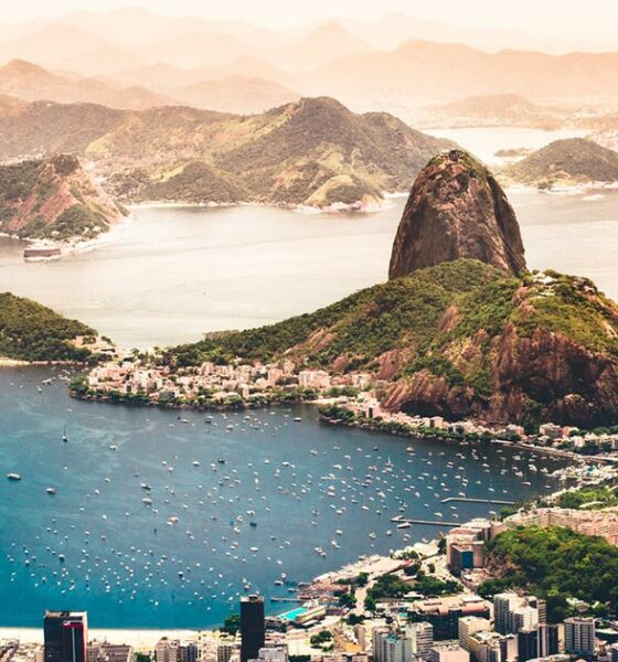 Autocultivo de cannabis en Brasil