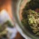Autorización del cannabis medicinal en Suiza