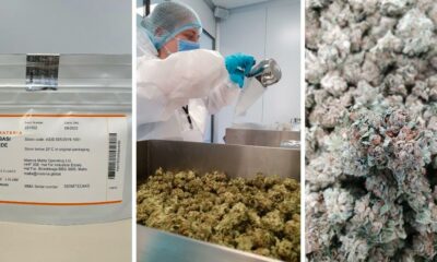 Materia exporta cannabis a Alemania