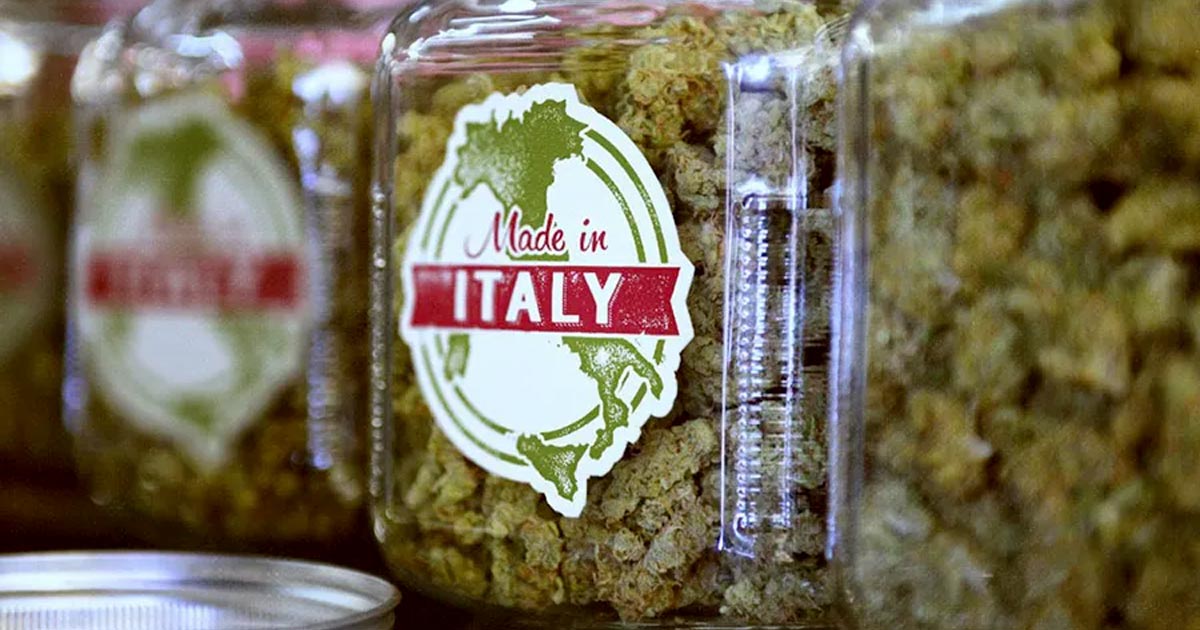 Autoproducción de cannabis en Italia
