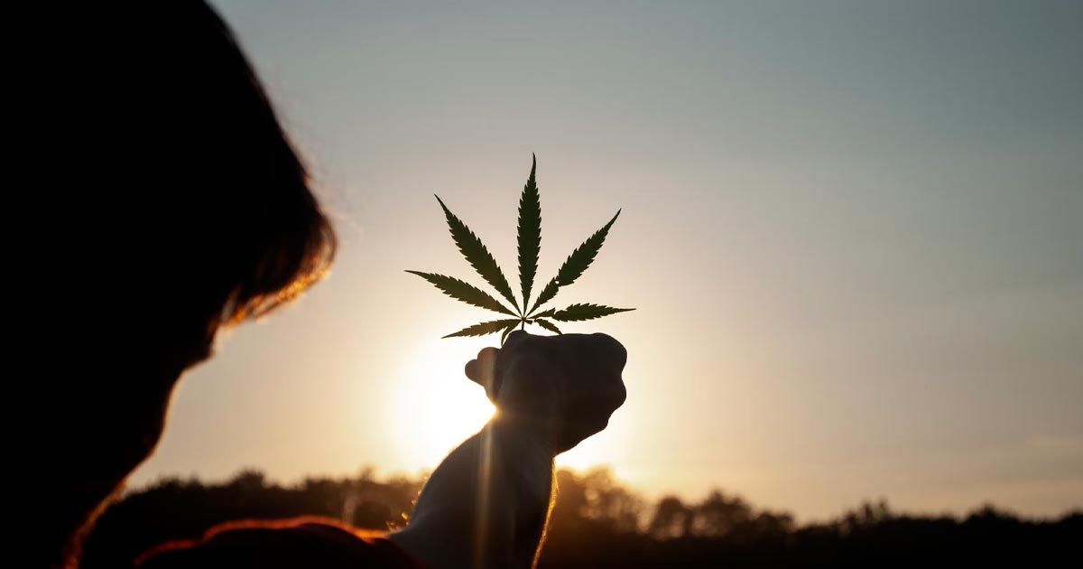 El mundo mejor del cannabis