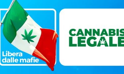 Perspectivas de la legalización del cannabis en Italia