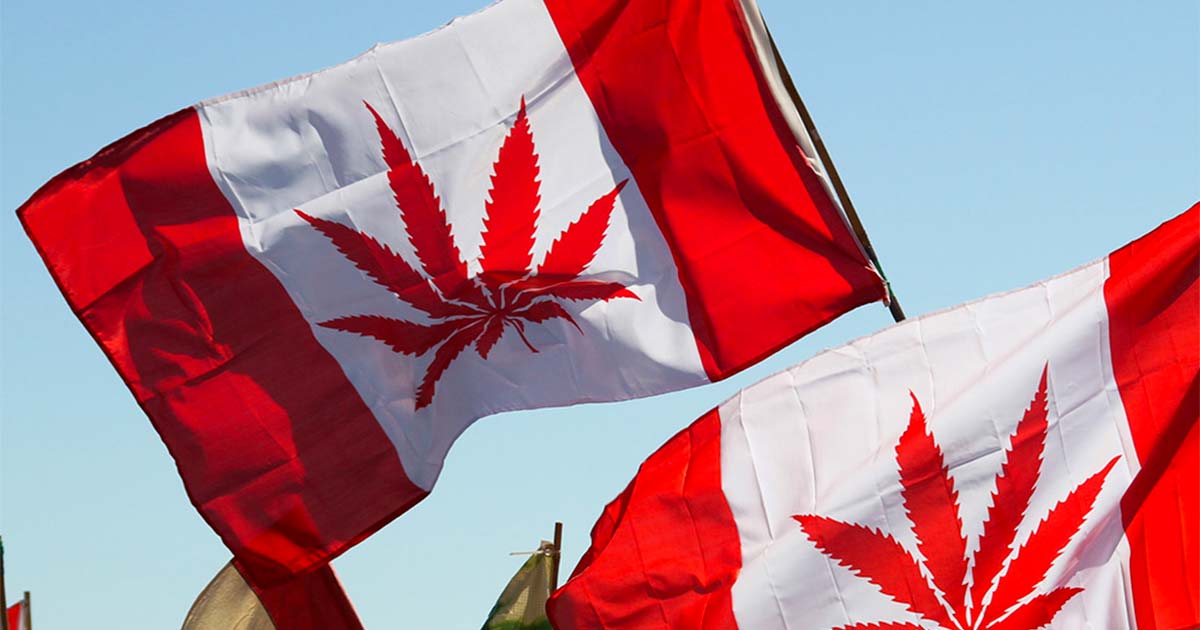 4 años de legalización del cannabis en Canadá