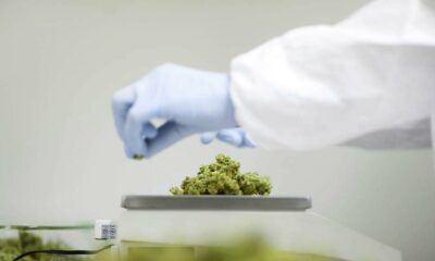 Holanda y el cannabis medicinal para extranjeros
