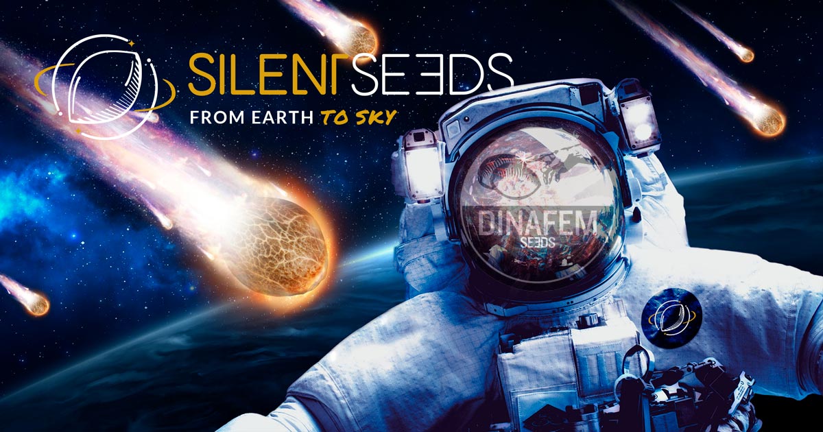 Silent Seeds y Dinafem