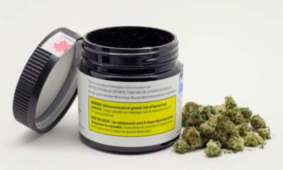 Acceso al cannabis medicinal en Canadá
