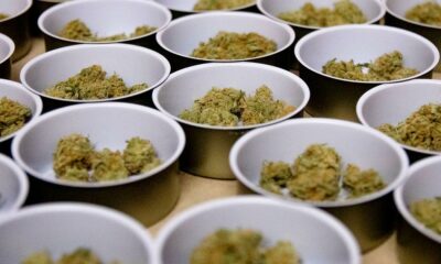 Venta de cannabis en Canadá