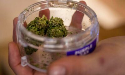 Cannabis legal en Lausana