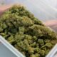 Legalización del cannabis en Luxemburgo