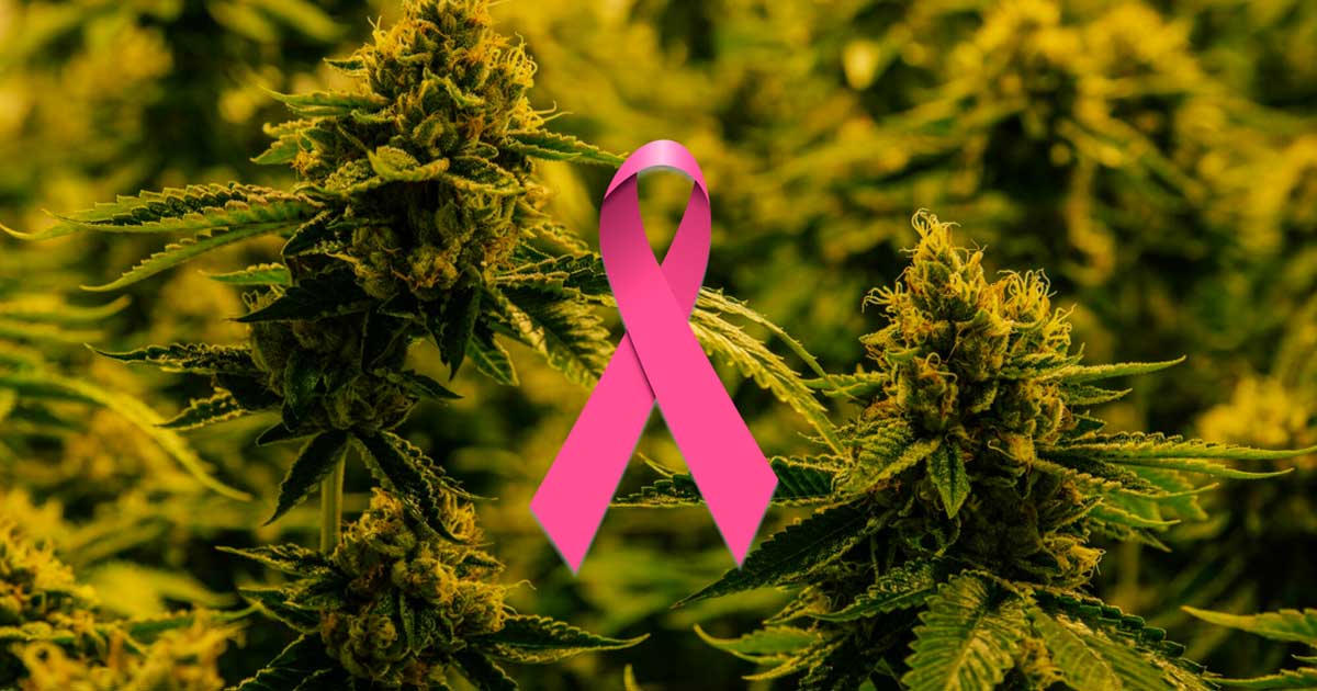 Estudio sobre el cáncer y el cannabis
