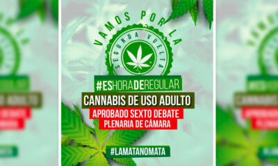 Propuesta de legalización del cannabis en Colombia