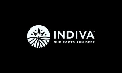 Indiva y Canopy Growth