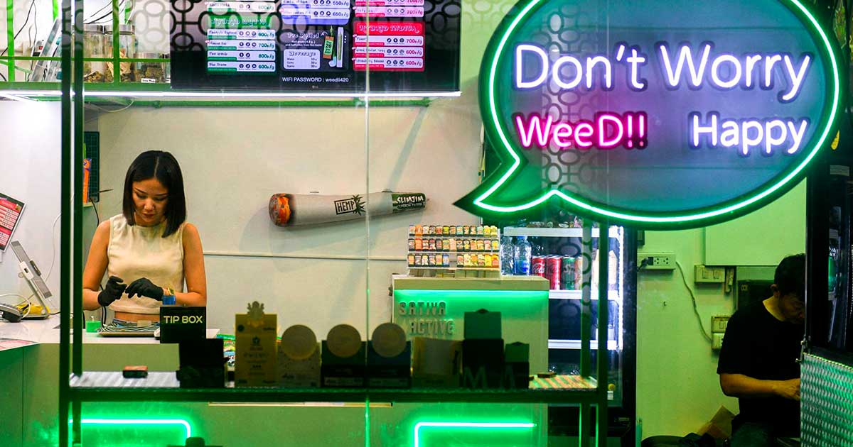 Una mirada retrospectiva a la legalización del cannabis