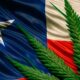 Chile y el cannabis