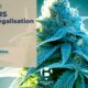 Legalización del cannabis en Bègles