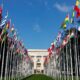 La ONU pide el fin de la guerra contra las drogas