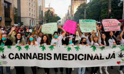 Cultivo de cannabis medicinal en Brasil