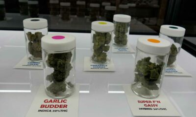 Cannabis legal en Minnesota
