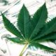 Legislación bancaria sobre el cannabis en Estados Unidos