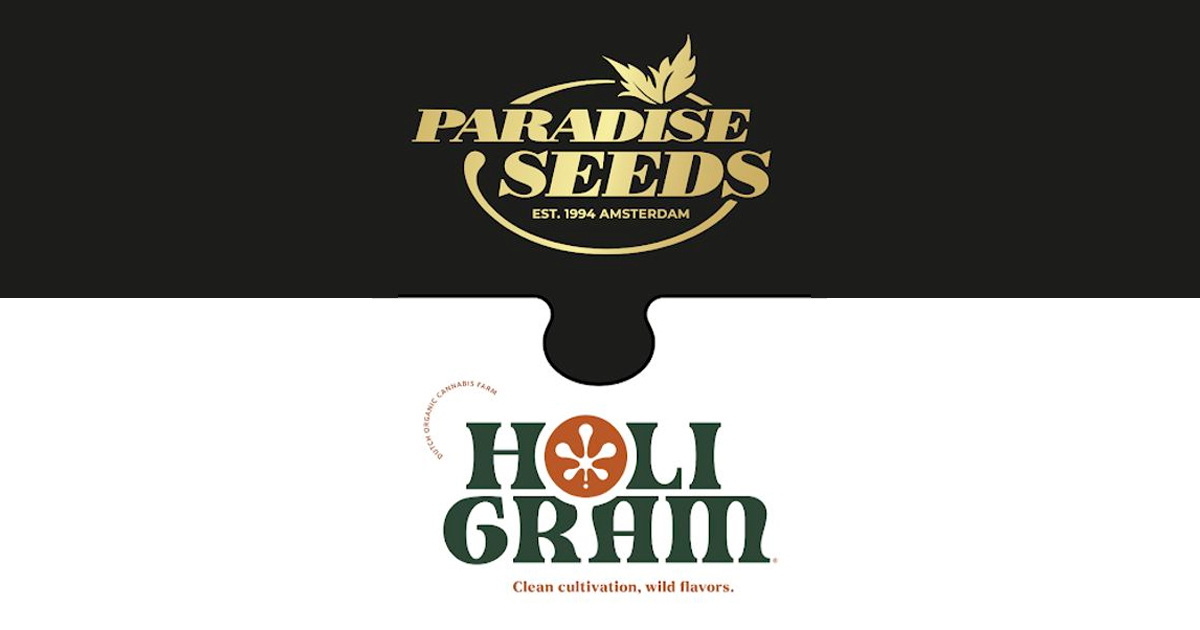Paradise Seeds y Holigram