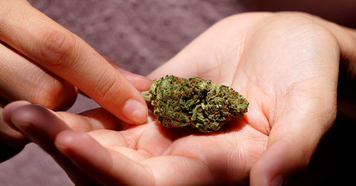 Licencia para un club de cannabis en Malta