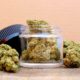 Regulación sostenible del cannabis