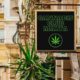 Clubes de cannabis en Malta