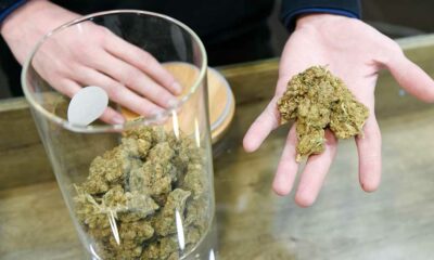 Iniciativa para legalizar el cannabis en Finlandia