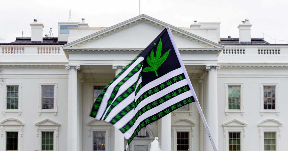 El Presidente Biden indulta al cannabis