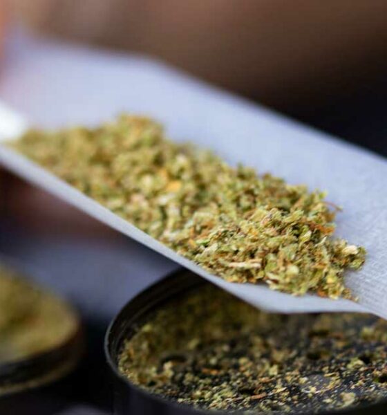 Posible legalización del cannabis en Suiza