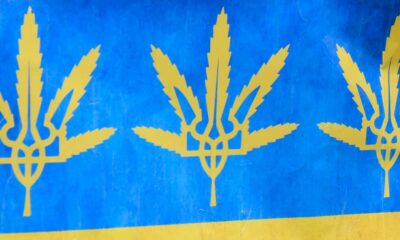 Ucrania legaliza el cannabis medicinal