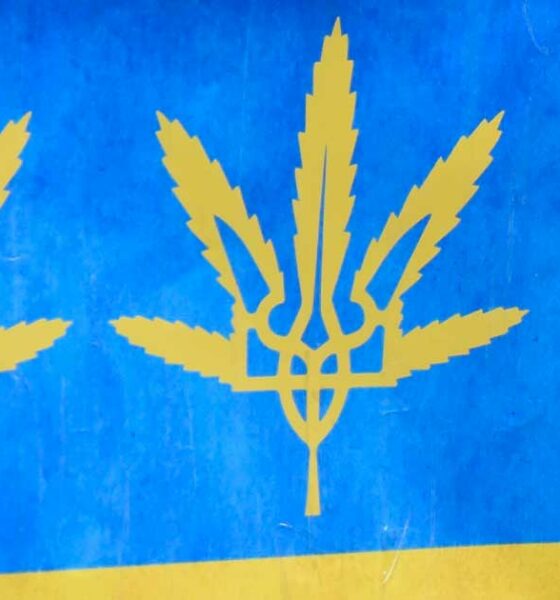 Ucrania legaliza el cannabis medicinal