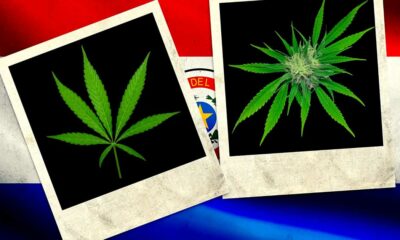 Cannabis en Paraguay