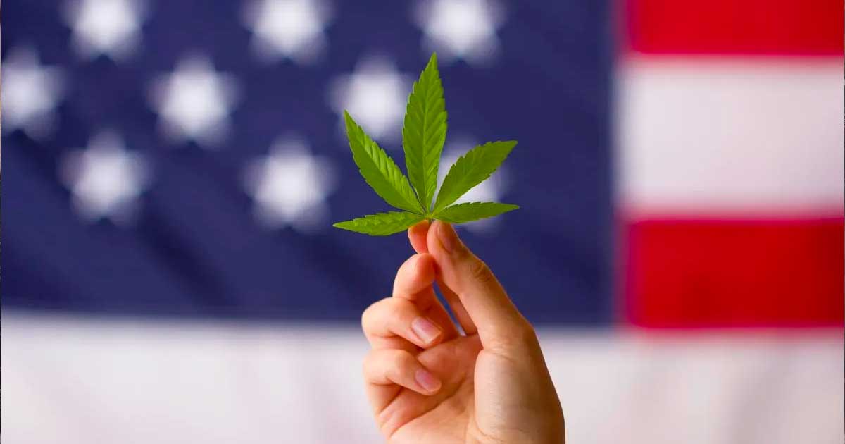 Reclasificación del cannabis en EE.UU.