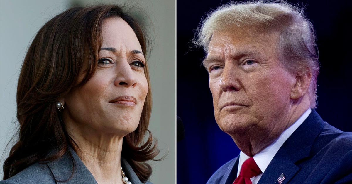 Legalizar el cannabis en Estados Unidos con Kamala Harris o Donald Trump