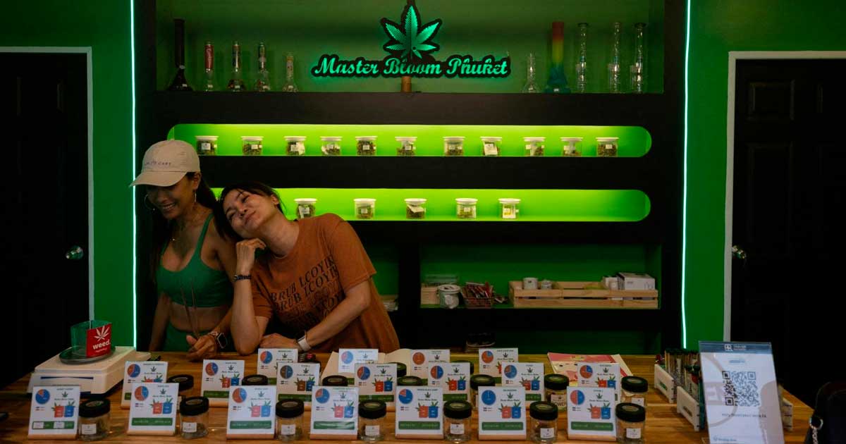 Regulación del cannabis legal en Tailandia