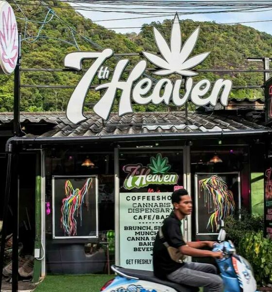 Regulación del cannabis en Tailandia