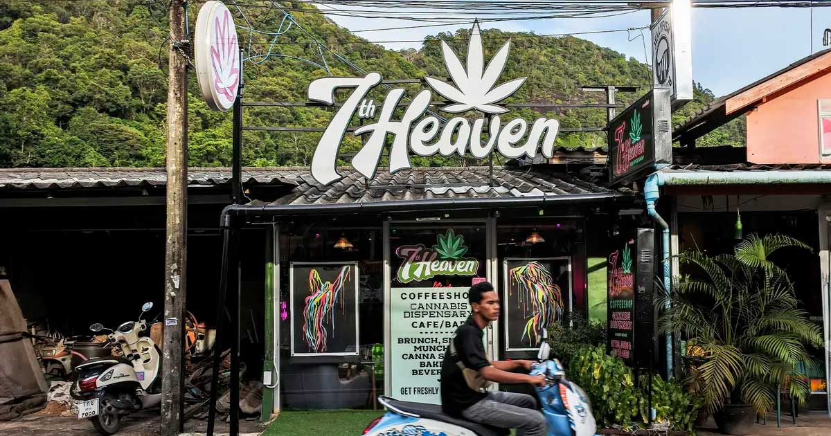 Regulación del cannabis en Tailandia