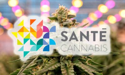 Estudio sobre la salud del cannabis