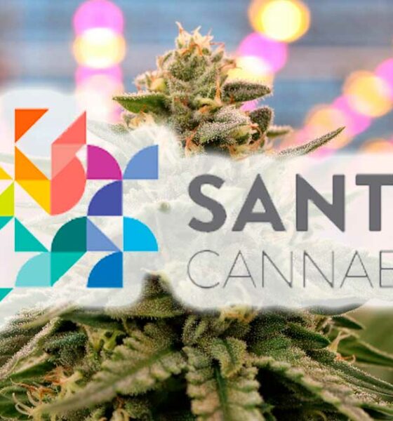 Estudio sobre la salud del cannabis