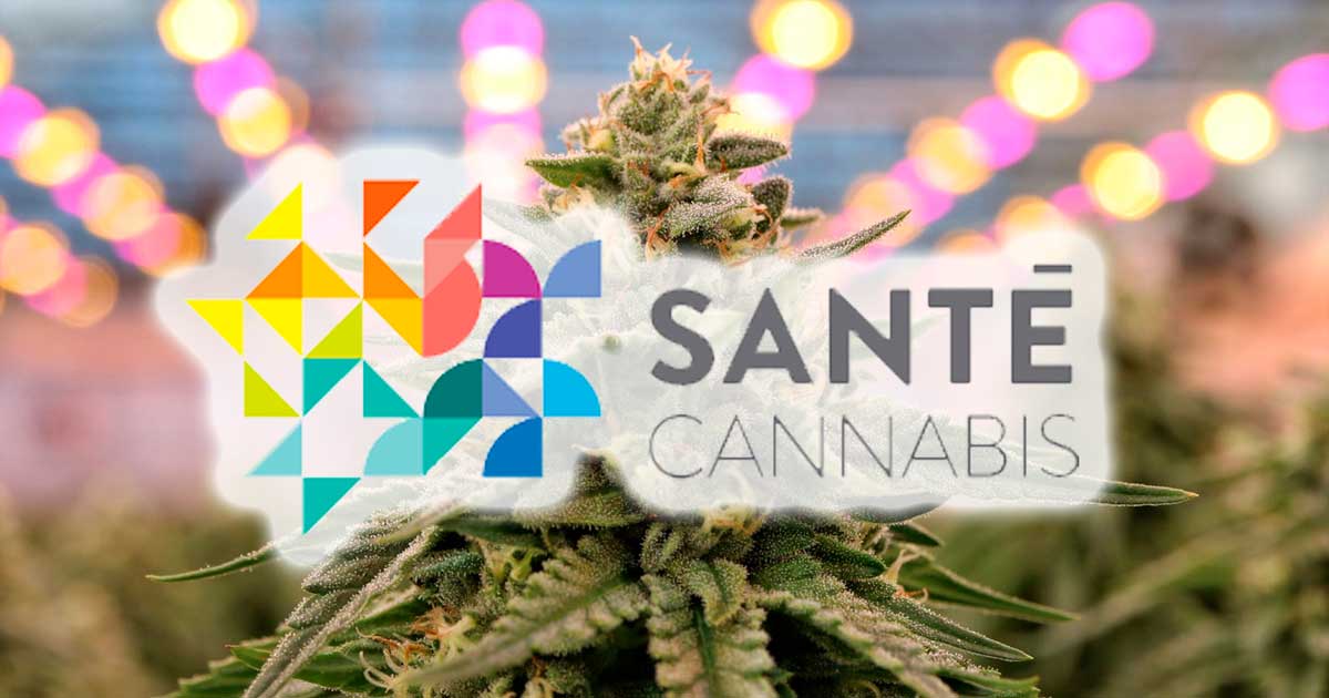 Estudio sobre la salud del cannabis