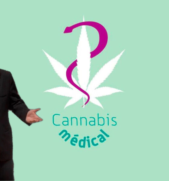 El cannabis medicinal no está incluido en el PLFSS 2025