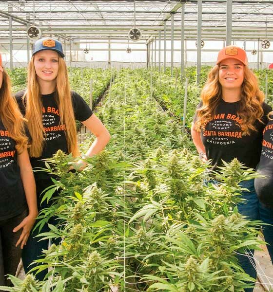 Mujeres que cultivan cannabis